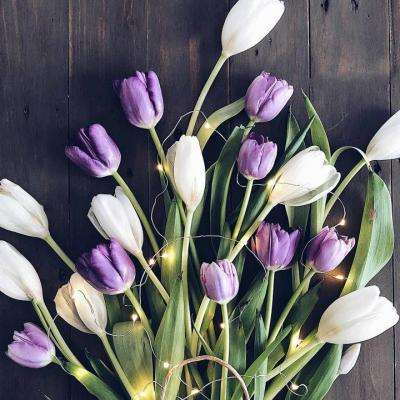 江西房产网下载