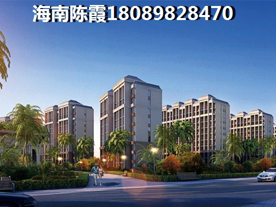 本地人关心的都在这