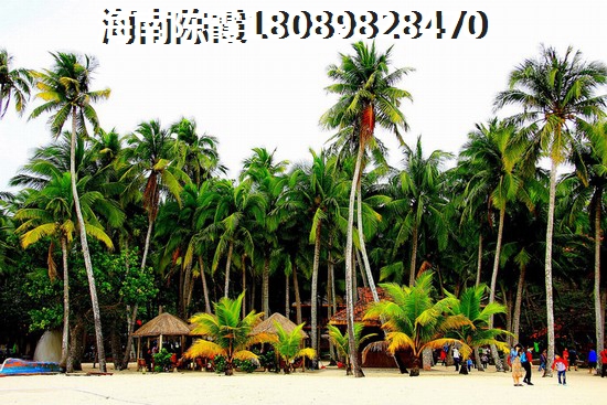 绿城·江南里怎么样？